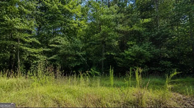 0 Roaring Forks LN Ellijay, GA 30540