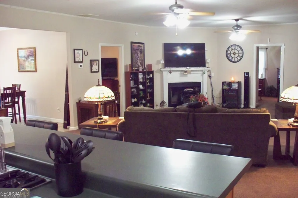 146 Rock Eagle RD Monticello, GA 31064