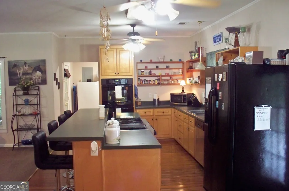146 Rock Eagle RD Monticello, GA 31064