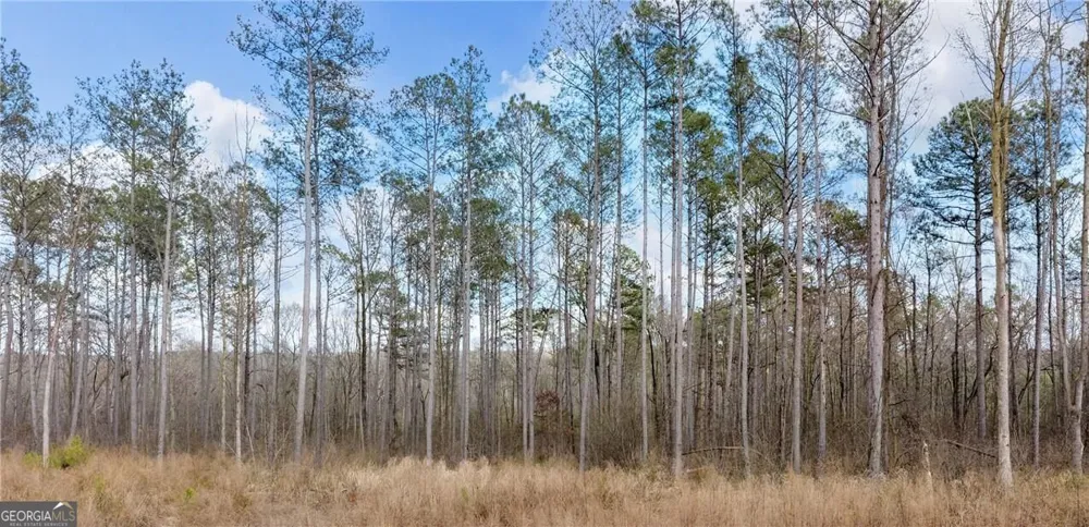 1660 Watkins Farm RD Nicholson, GA 30565