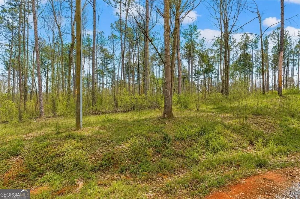 1660 Watkins Farm RD Nicholson, GA 30565