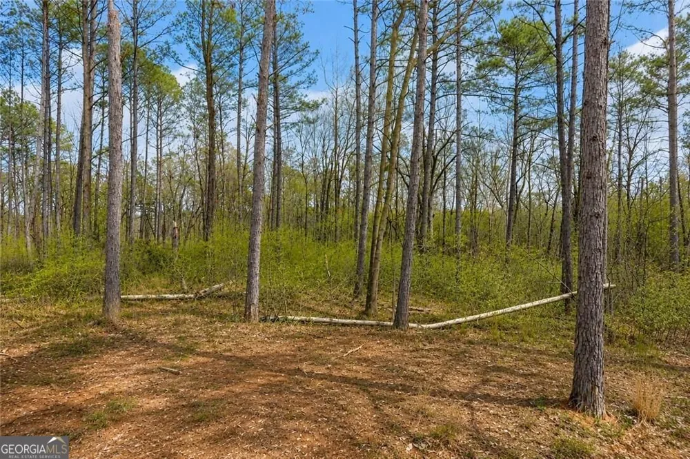1660 Watkins Farm RD Nicholson, GA 30565