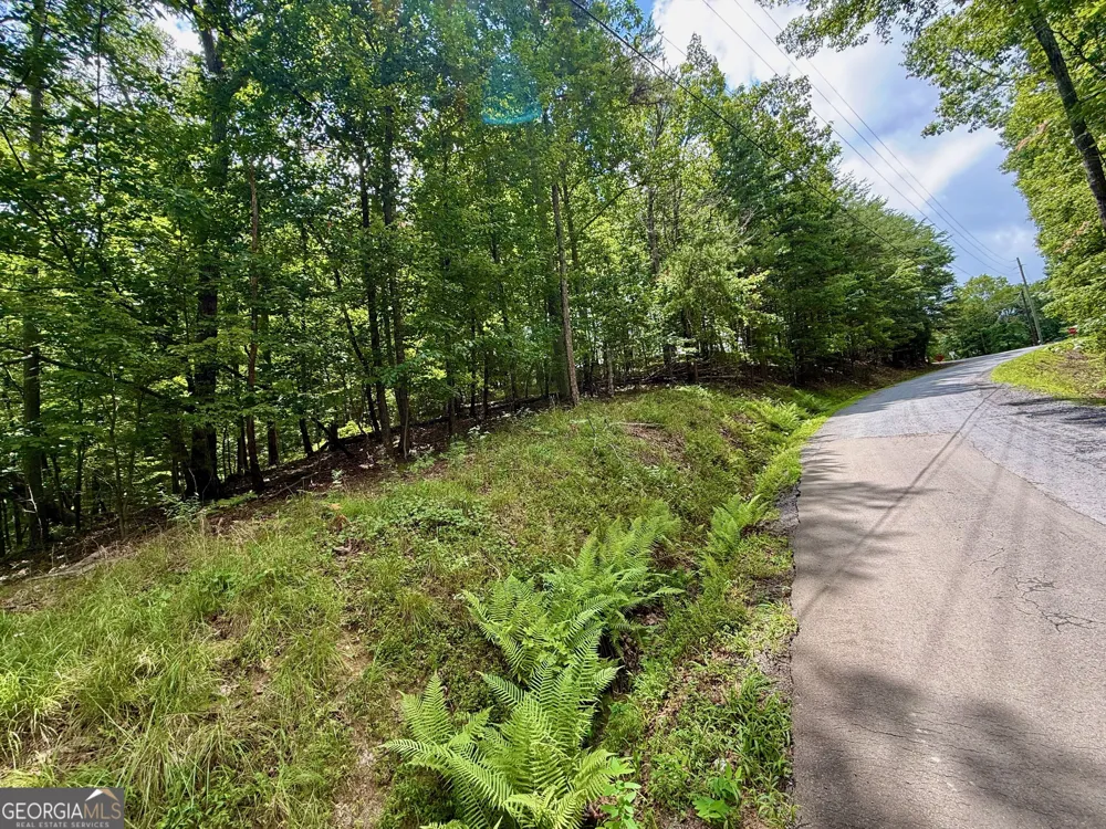 LOT 7 Stirratt RD Ranger, GA 30734