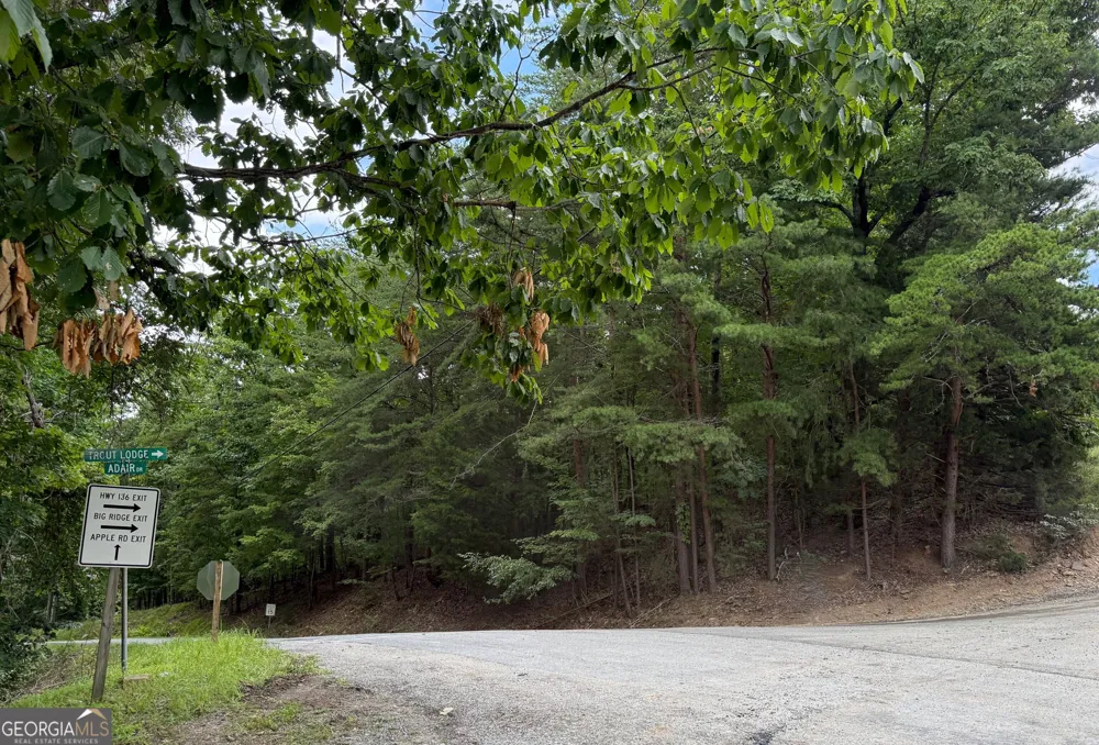 LOT 7 Stirratt RD Ranger, GA 30734