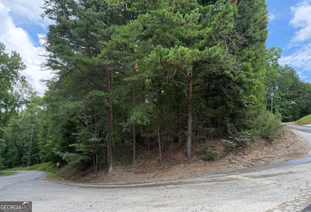 LOT 7 Stirratt RD Ranger, GA 30734