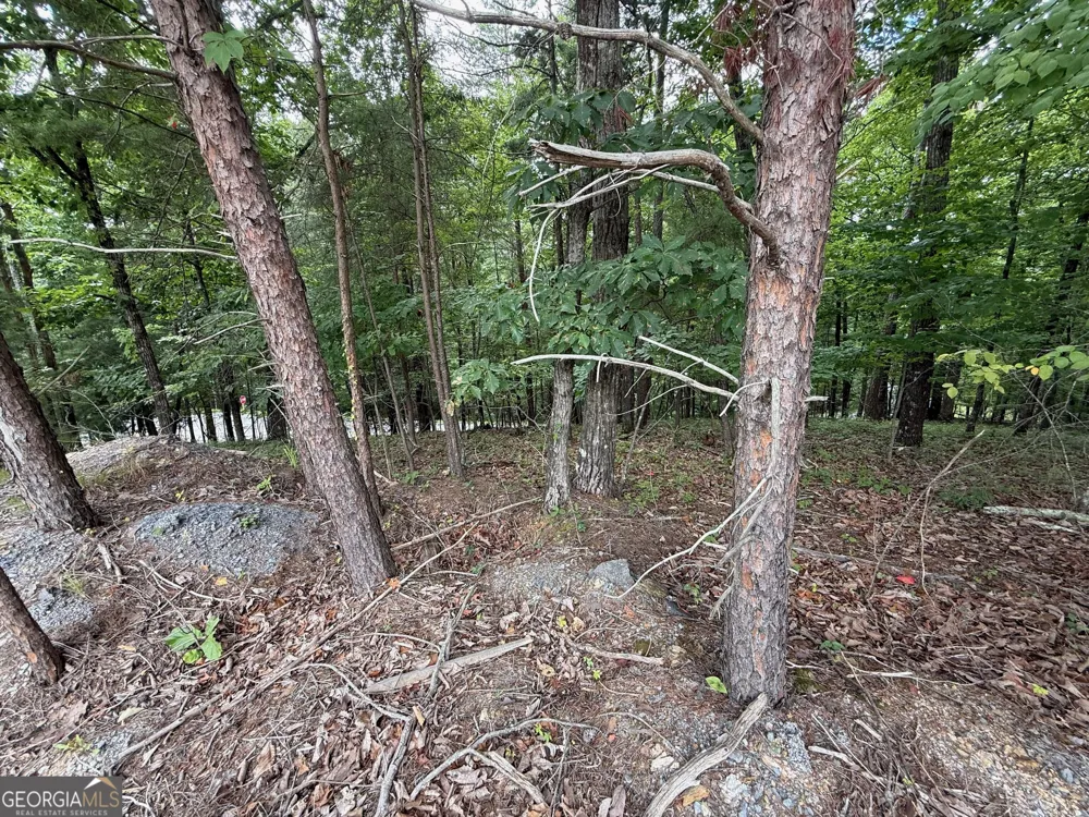 LOT 7 Stirratt RD Ranger, GA 30734