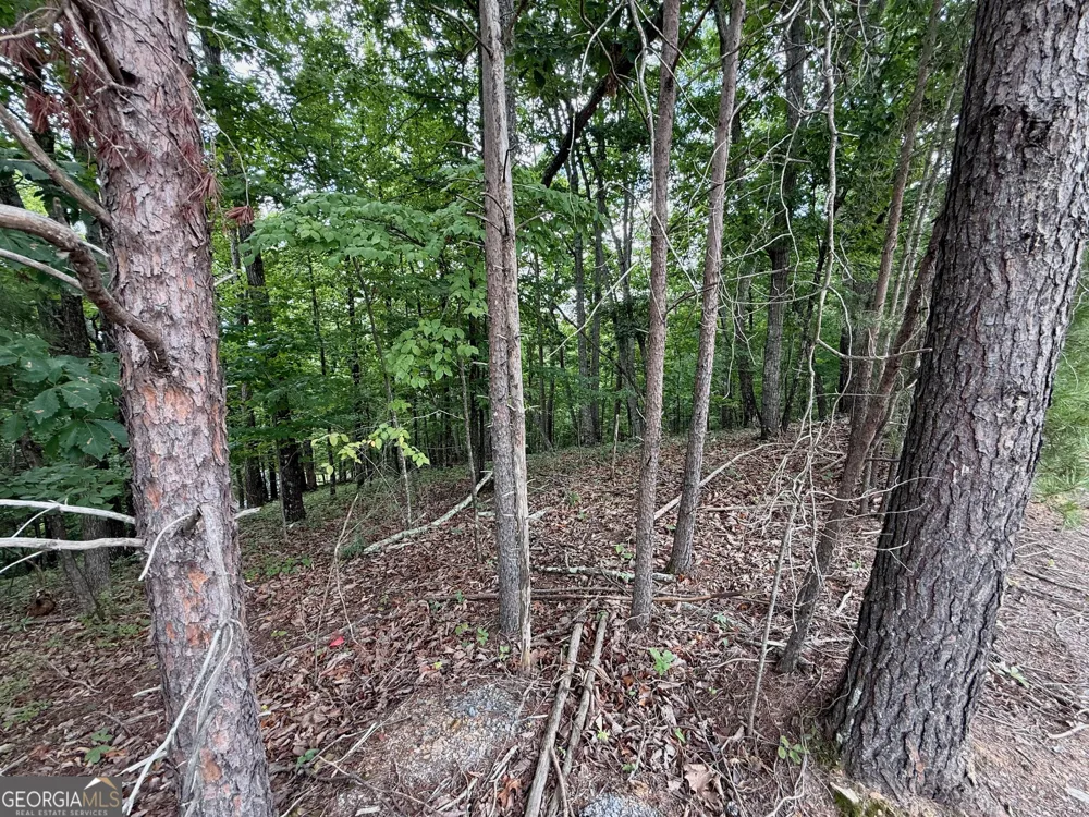 LOT 7 Stirratt RD Ranger, GA 30734