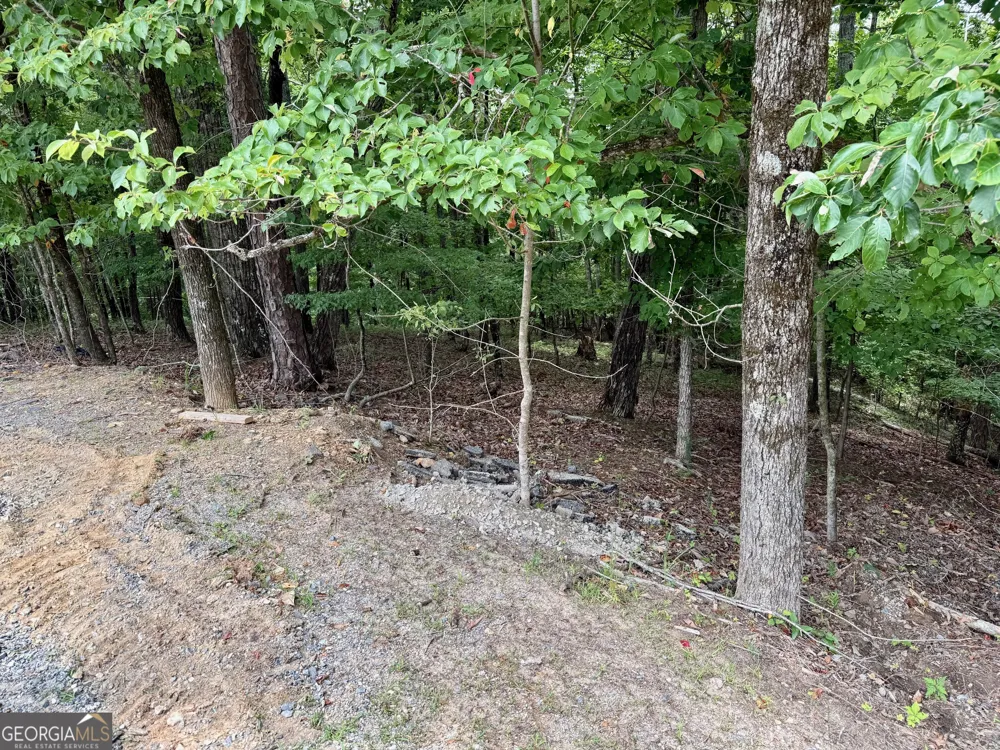 LOT 7 Stirratt RD Ranger, GA 30734