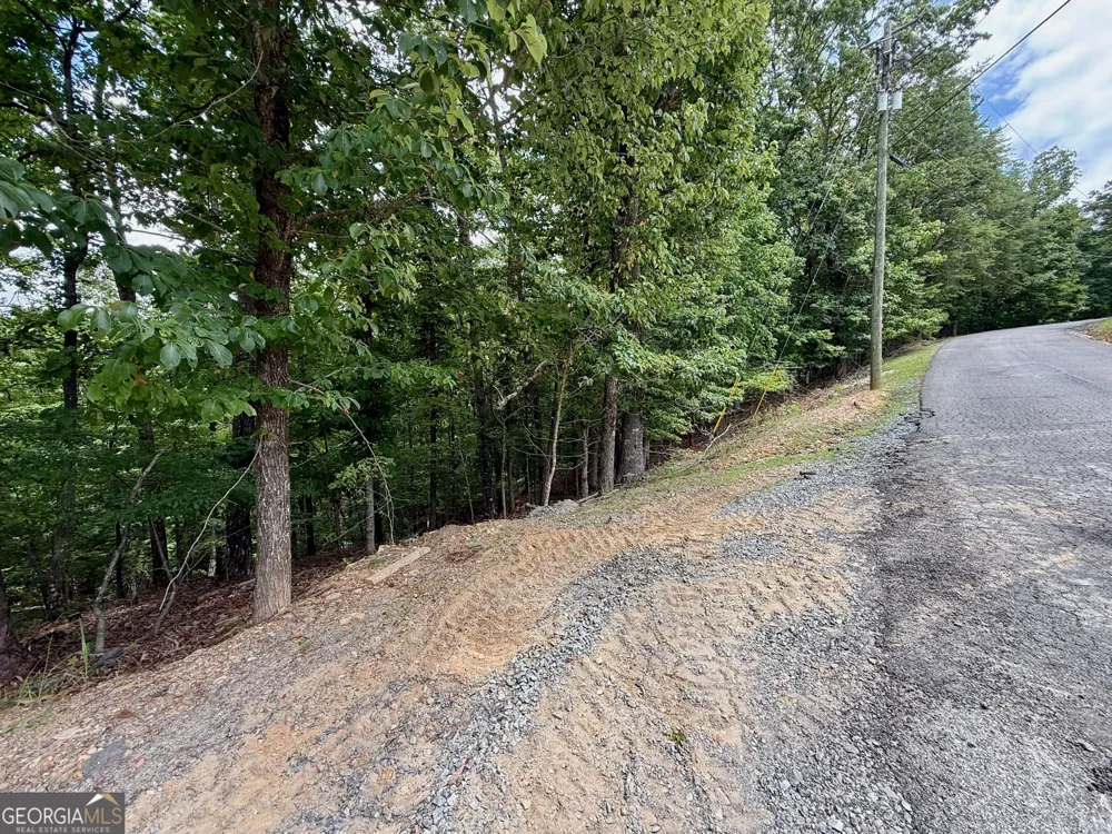 LOT 7 Stirratt RD Ranger, GA 30734