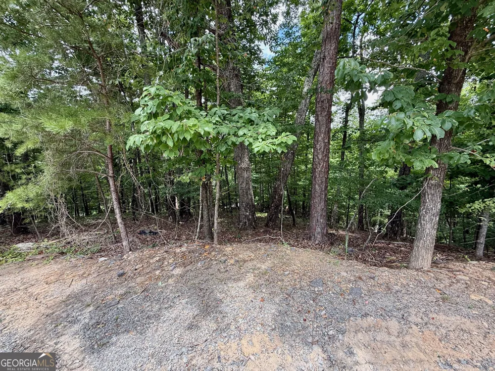 LOT 7 Stirratt RD Ranger, GA 30734