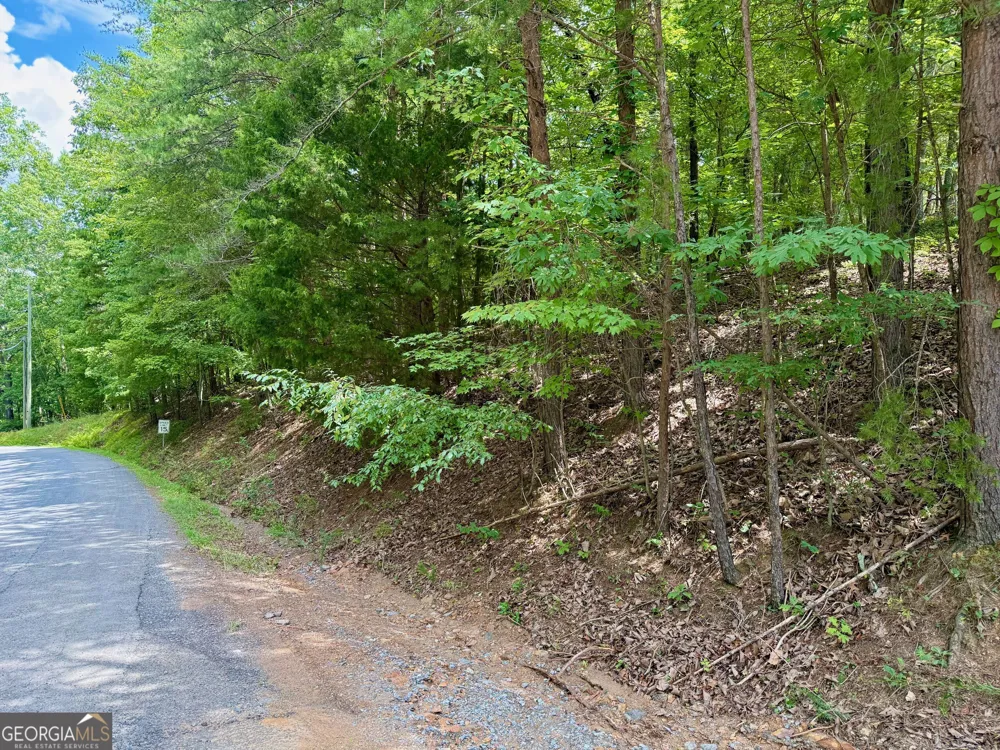 LOT 7 Stirratt RD Ranger, GA 30734
