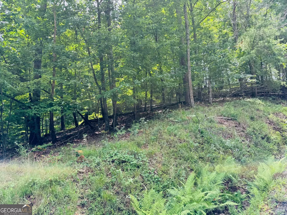 LOT 7 Stirratt RD Ranger, GA 30734