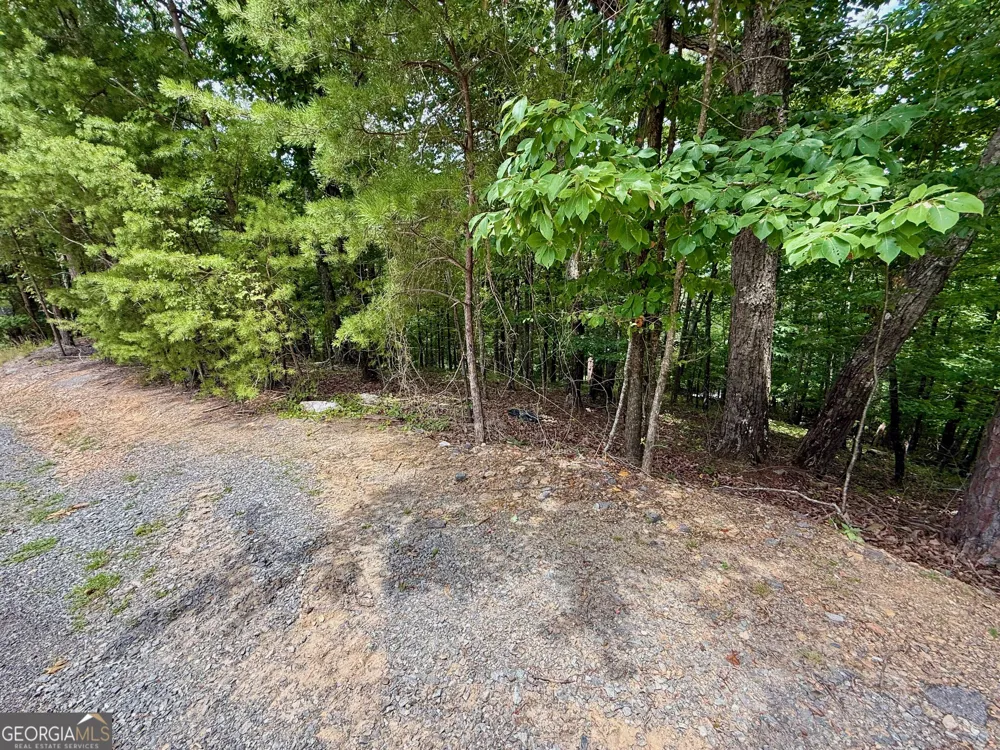 LOT 7 Stirratt RD Ranger, GA 30734