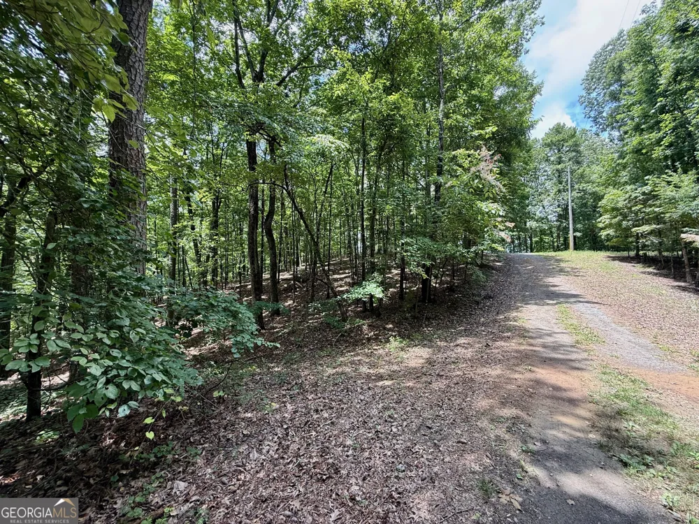 LOT 1065 Mayfield LN Ranger, GA 30734