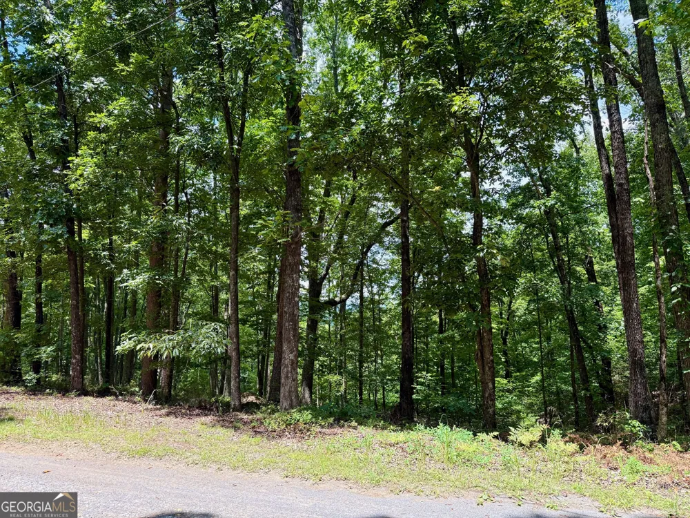 LOT 1065 Mayfield LN Ranger, GA 30734
