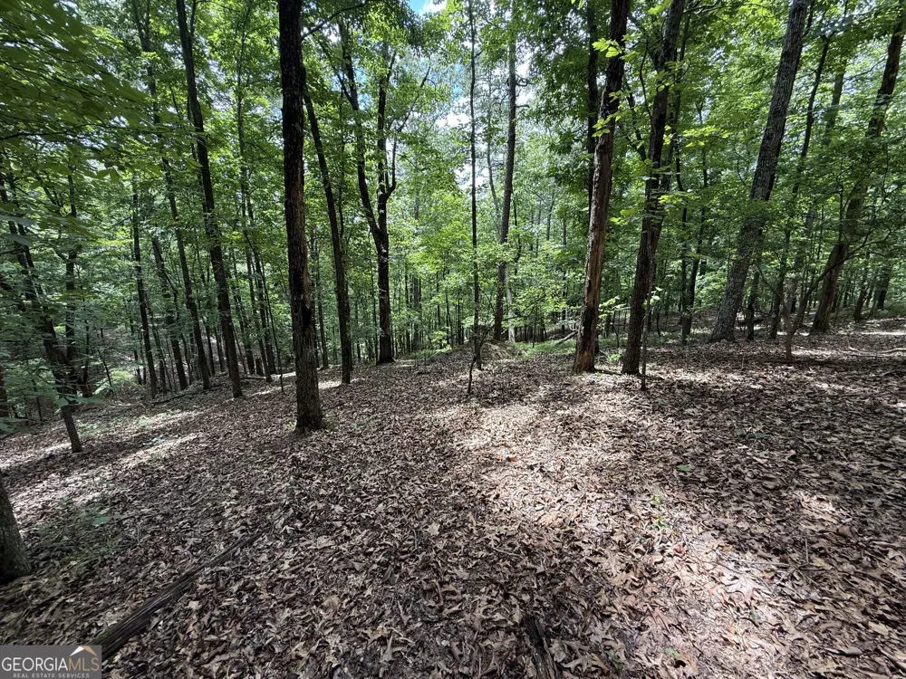 LOT 1065 Mayfield LN Ranger, GA 30734