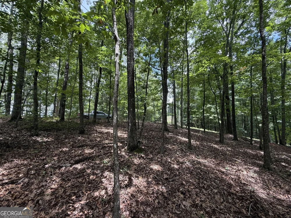 LOT 1065 Mayfield LN Ranger, GA 30734