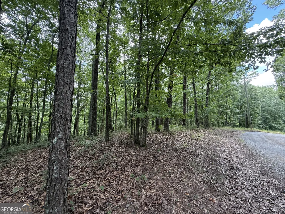 LOT 1065 Mayfield LN Ranger, GA 30734