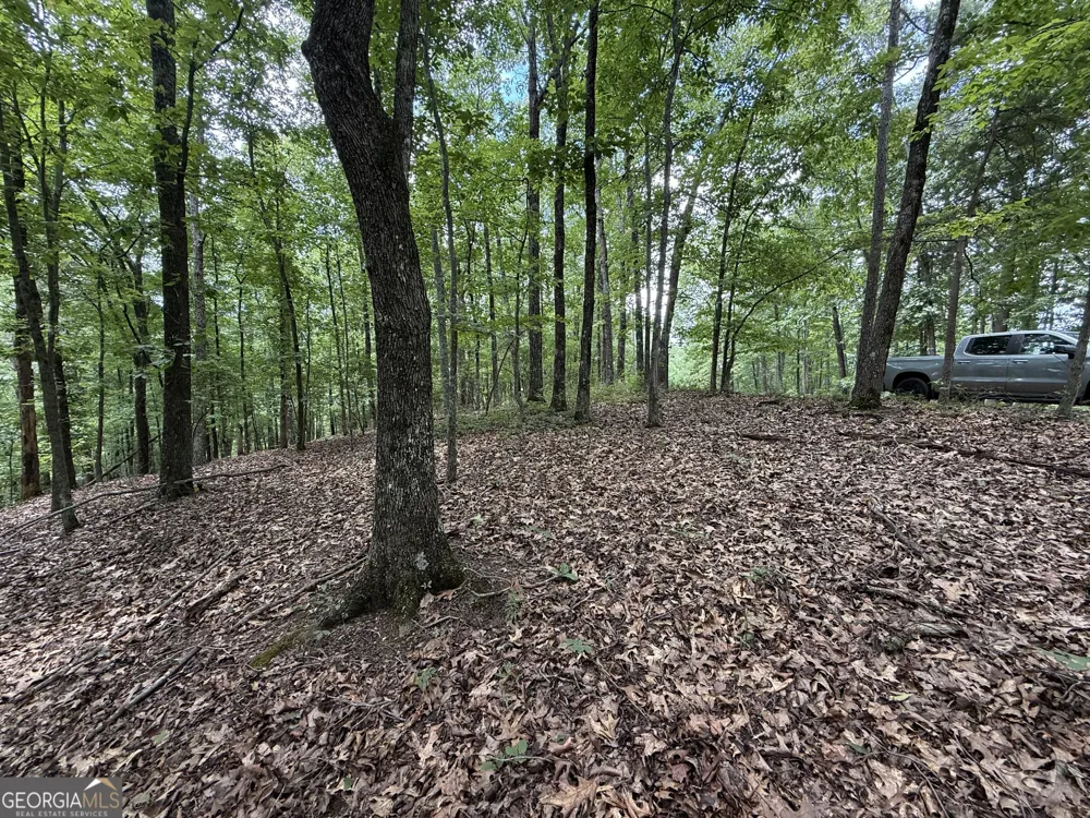 LOT 1065 Mayfield LN Ranger, GA 30734