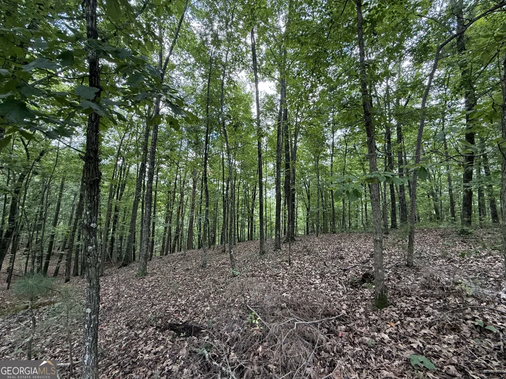 LOT 1065 Mayfield LN Ranger, GA 30734