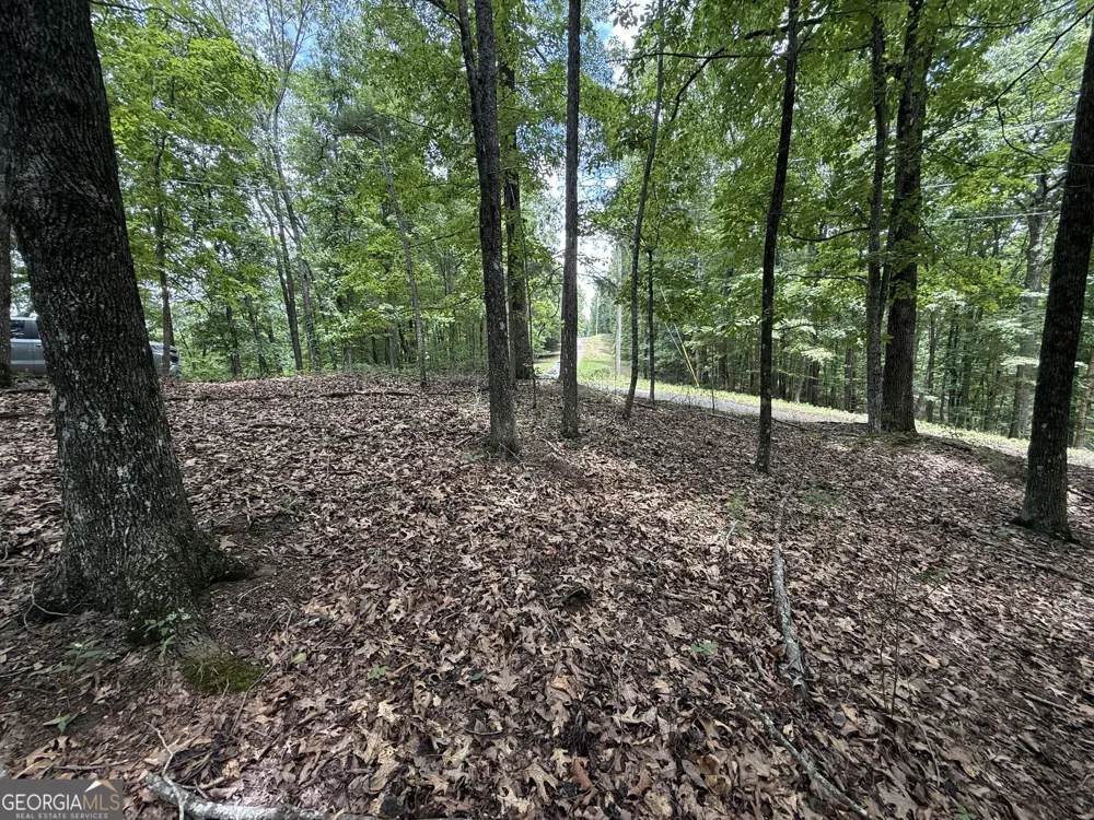 LOT 1065 Mayfield LN Ranger, GA 30734