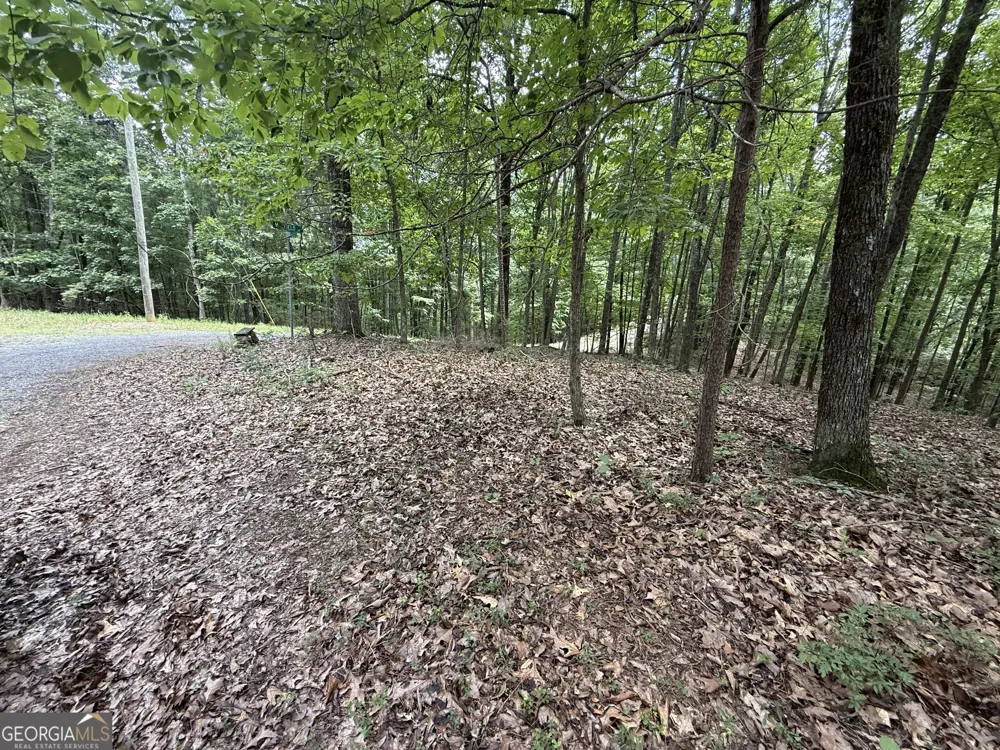 LOT 1065 Mayfield LN Ranger, GA 30734