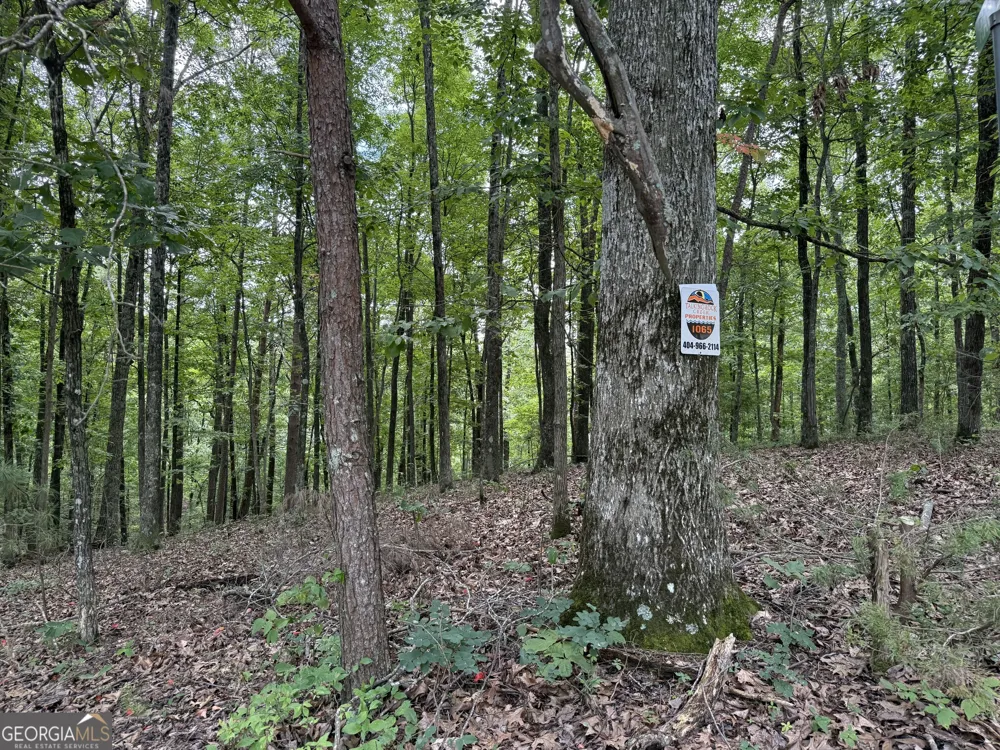 LOT 1065 Mayfield LN Ranger, GA 30734