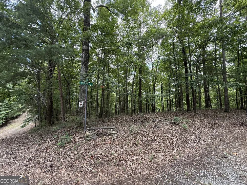 LOT 1065 Mayfield LN Ranger, GA 30734