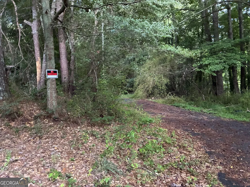 5420 Cantrell RD Dawsonville, GA 30534