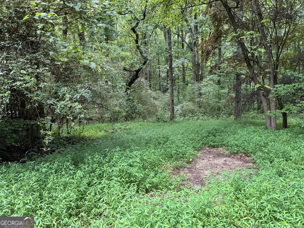 5420 Cantrell RD Dawsonville, GA 30534