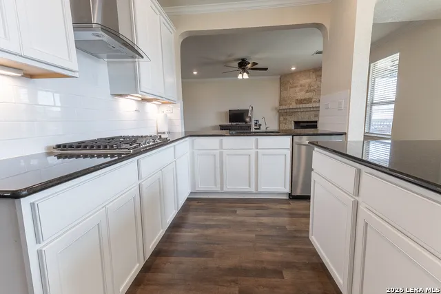 29906 Sestra Bulverde, TX 78163