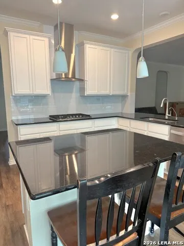 29906 Sestra Bulverde, TX 78163