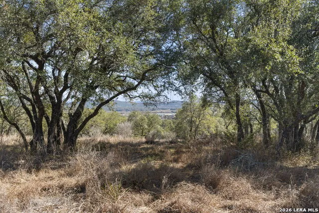31045 Johnson Way Bulverde, TX 78163