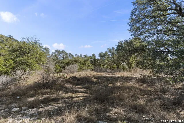 31045 Johnson Way Bulverde, TX 78163