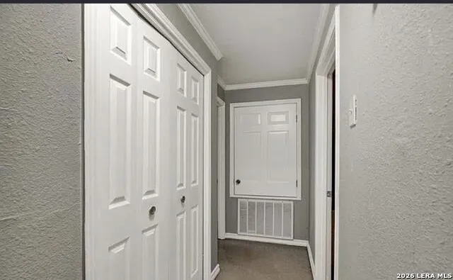 1010 county oak dr Luling, TX 78648