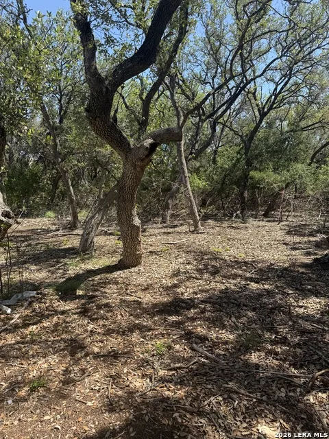 918 Scenic Dr Bandera, TX 78003