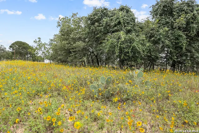 336 Lost Trail La Vernia, TX 78121