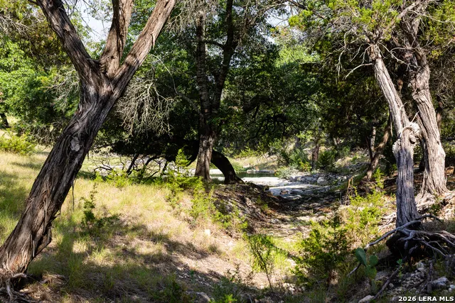 174 Cedar Rock Trail Hunt, TX 78024