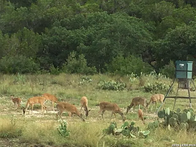 174 Cedar Rock Trail Hunt, TX 78024