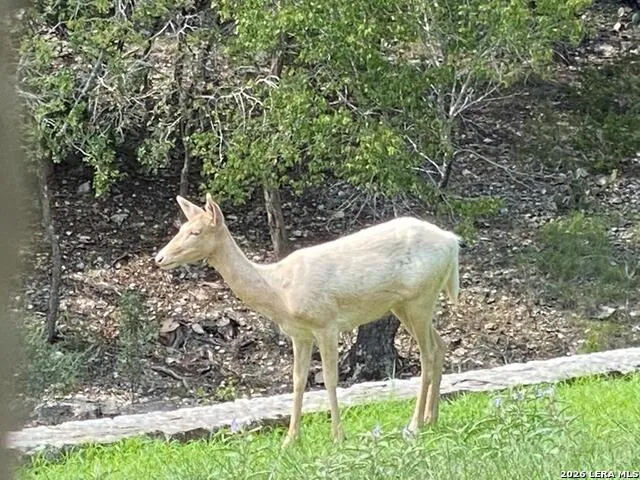 174 Cedar Rock Trail Hunt, TX 78024