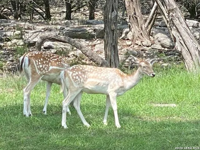 174 Cedar Rock Trail Hunt, TX 78024