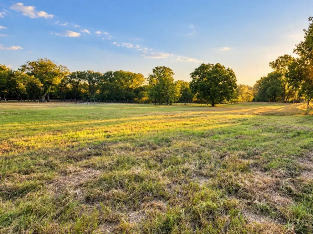 535 Kings Road Double Oak, TX 75077