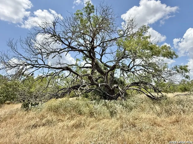 24.52 Acres Campbell BLVD Campbellton, TX 78008