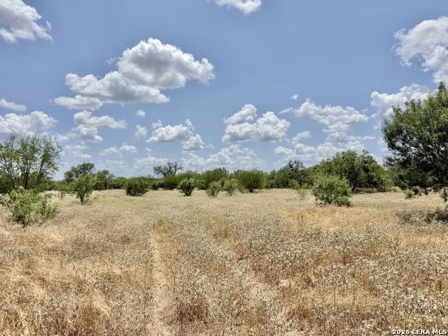 24.52 Acres Campbell BLVD Campbellton, TX 78008
