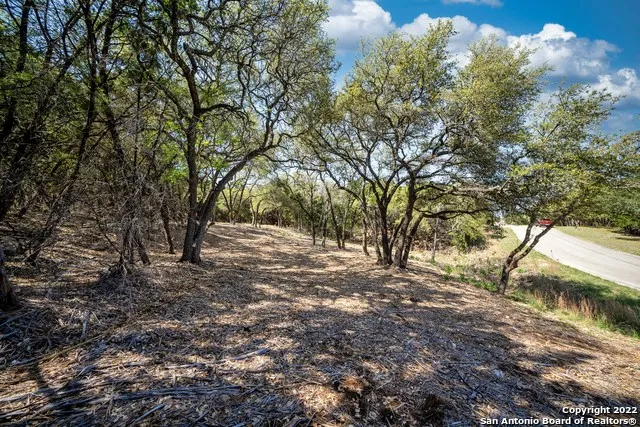1752 Trailridge Dr Canyon Lake, TX 78133