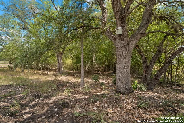 TBD HIGHWAY 90 Castroville, TX 78009
