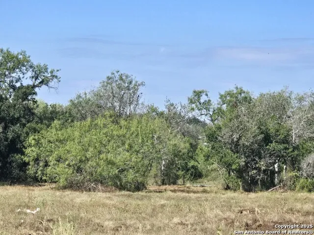 TBD W Randall Beeville, TX 78102