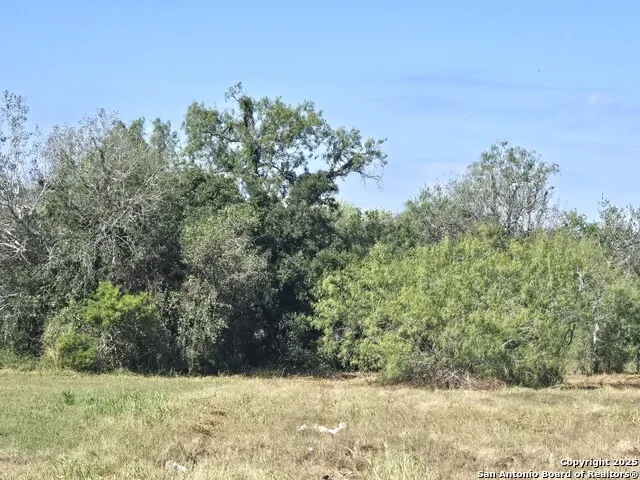 TBD W Randall Beeville, TX 78102