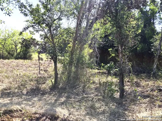 TBD W Randall Beeville, TX 78102