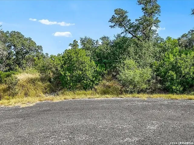LOT 8 Pr 2773 Mico, TX 78056